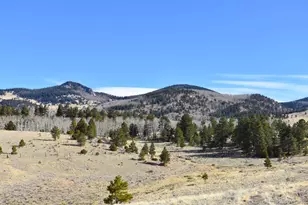 457 Anthony Ave, Westcliffe, CO 81252 - Photo 19