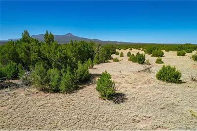 37300 Kunzite Road, Trinidad, CO 81082 - Photo 9