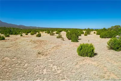 37300 Kunzite Road, Trinidad, CO 81082 - Photo 31