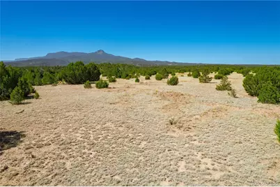 37300 Kunzite Road, Trinidad, CO 81082 - Photo 3