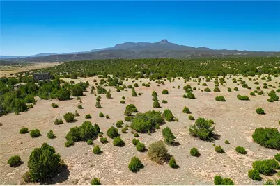 37300 Kunzite Road, Trinidad, CO 81082 - Photo 35