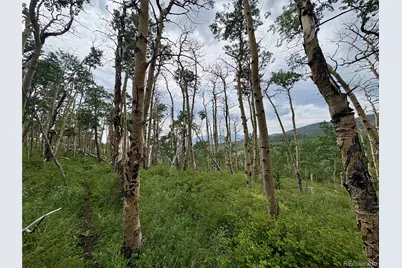 74 Forest Drive, Fairplay, CO 80440 - Photo 27