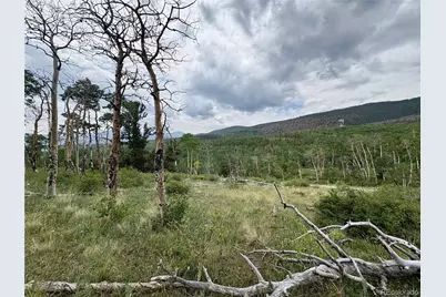 74 Forest Drive, Fairplay, CO 80440 - Photo 19