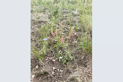 74 Forest Drive, Fairplay, CO 80440 - Photo 13