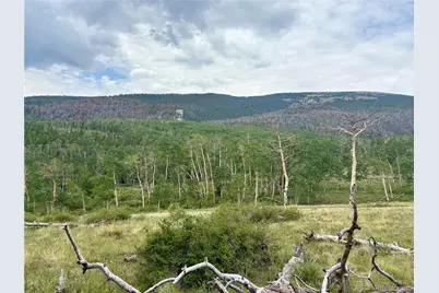 74 Forest Drive, Fairplay, CO 80440 - Photo 17