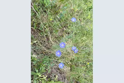 74 Forest Drive, Fairplay, CO 80440 - Photo 29