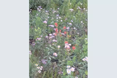 74 Forest Drive, Fairplay, CO 80440 - Photo 21