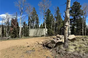 3425 Co Rd 360, Westcliffe, CO 81252 - Photo 9