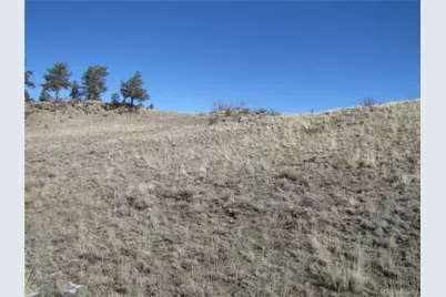 8808 County Road 53, Hartsel, CO 80449 - Photo 13