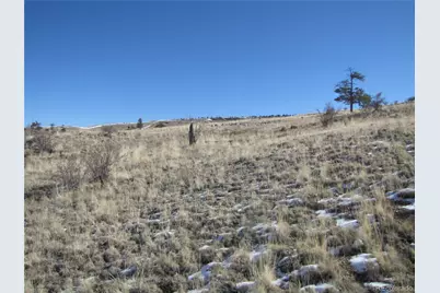 8808 County Road 53, Hartsel, CO 80449 - Photo 15