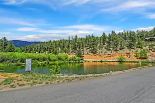 68 Jones Rd, Bailey, CO 80421 - Photo 19