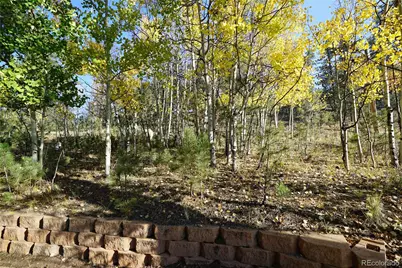 68 Jones Road, Bailey, CO 80421 - Photo 15