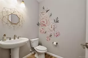 6458 Amur Ct, Castle Rock, CO 80108 - Photo 19