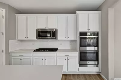 6458 Amur Court, Castle Rock, CO 80108 - Photo 11