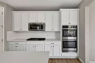 6458 Amur Ct, Castle Rock, CO 80108 - Photo 11