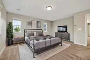 6458 Amur Ct, Castle Rock, CO 80108 - Photo 23