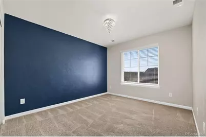 6458 Amur Court, Castle Rock, CO 80108 - Photo 33