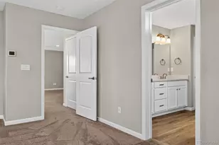 6458 Amur Ct, Castle Rock, CO 80108 - Photo 25
