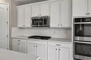 6458 Amur Ct, Castle Rock, CO 80108 - Photo 9