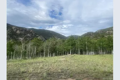 171 Emerald Way, Lake George, CO 80827 - Photo 3