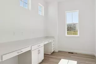 1642 Green Fern Pt, Castle Rock, CO 80104 - Photo 9