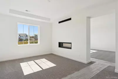 1642 Green Fern Point, Castle Rock, CO 80104 - Photo 13