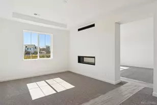 1642 Green Fern Pt, Castle Rock, CO 80104 - Photo 13