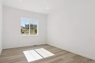 1642 Green Fern Pt, Castle Rock, CO 80104 - Photo 11