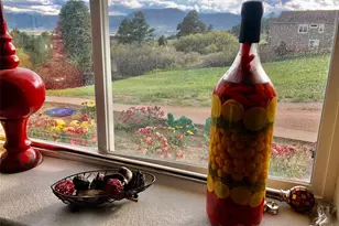 19663 Lindenmere Dr, Monument, CO 80132 - Photo 35