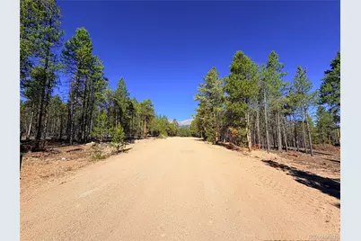 399 Lodgepole Drive, Leadville, CO 80461 - Photo 9