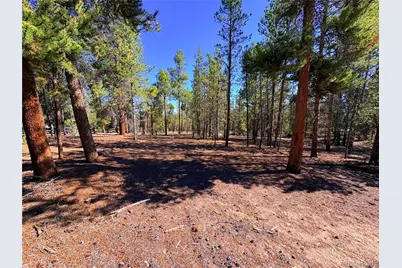 399 Lodgepole Drive, Leadville, CO 80461 - Photo 3
