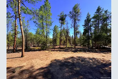399 Lodgepole Drive, Leadville, CO 80461 - Photo 5