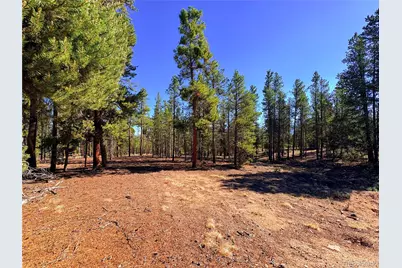 399 Lodgepole Drive, Leadville, CO 80461 - Photo 1