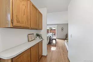 1304 Briar Cir, Highlands Ranch, CO 80126 - Photo 31