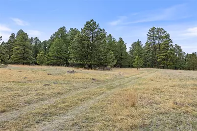 8653 N Teacup Road, Elbert, CO 80106 - Photo 7