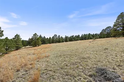 8653 N Teacup Road, Elbert, CO 80106 - Photo 5