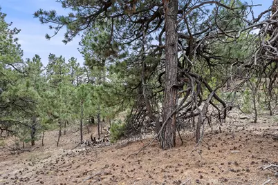 8653 N Teacup Road, Elbert, CO 80106 - Photo 3