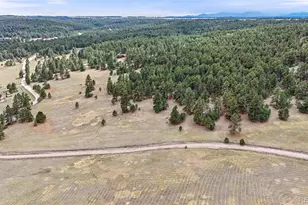 8653 N Teacup Rd, Elbert, CO 80106 - Photo 15