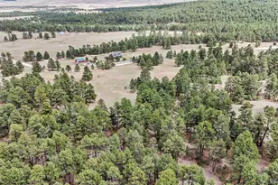 8653 N Teacup Rd, Elbert, CO 80106 - Photo 13