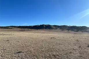 4558 Clear Creek Rd, Hartsel, CO 80449 - Photo 1