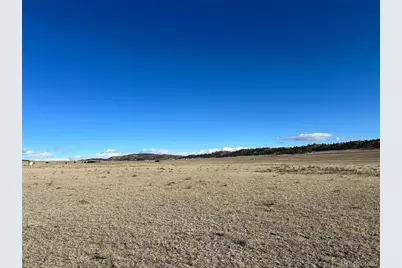 4558 Clear Creek Road, Hartsel, CO 80449 - Photo 11