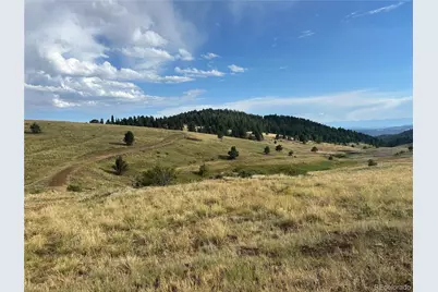 1100 Grumpy Burro View, Cripple Creek, CO 80863 - Photo 3