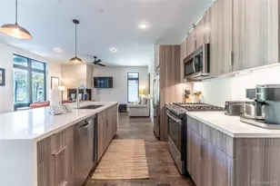 930 Blue River Pkwy, Silverthorne, CO 80498 - Photo 9