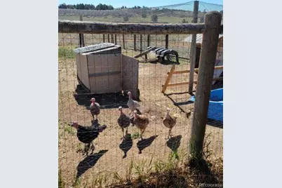 5910 McCart Ranch Circle, Elizabeth, CO 80107 - Photo 35