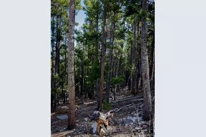 111 Collateral Claim, Idaho Springs, CO 80452 - Photo 7