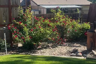 1231 W 102nd Pl, Northglenn, CO 80260 - Photo 31