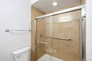 11379 Lovage Way, Parker, CO 80134 - Photo 45