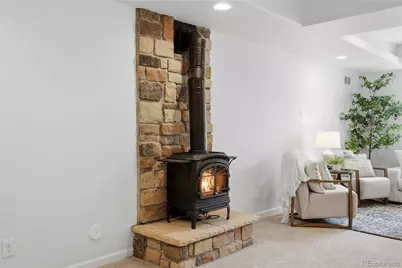 11379 Lovage Way, Parker, CO 80134 - Photo 33