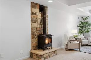 11379 Lovage Way, Parker, CO 80134 - Photo 33
