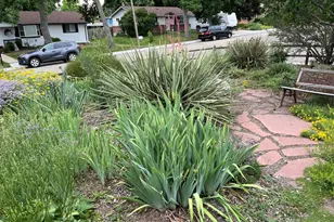 7028 Otis Ct, Arvada, CO 80003 - Photo 39